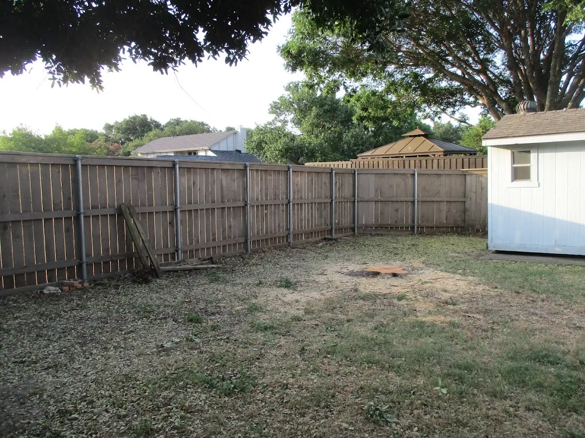 Cleared yard after professional tree removal in Yerington